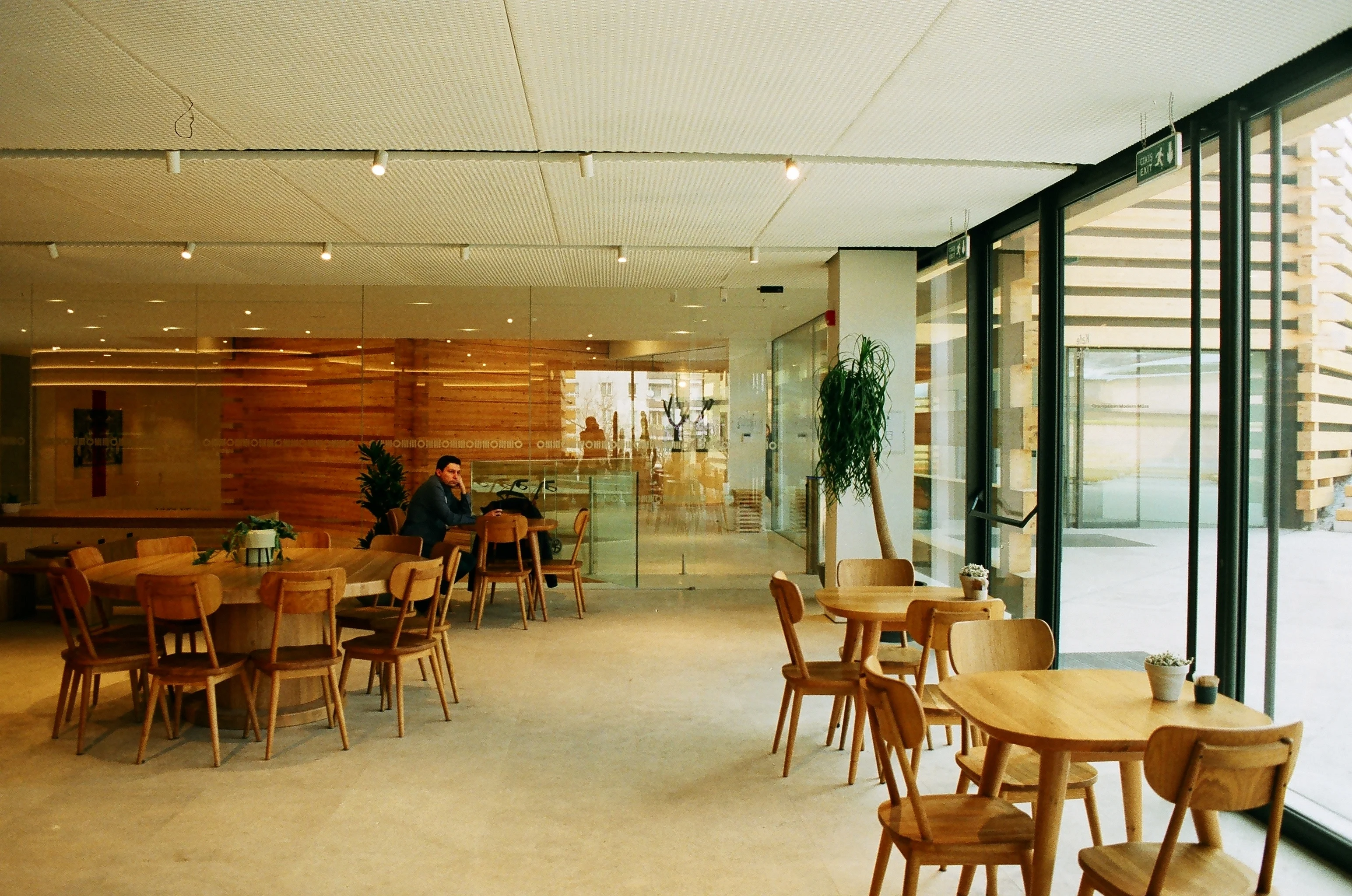 Modern Kitchen